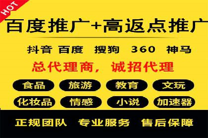 谷歌SEM案例研究：数据分析与效果评估